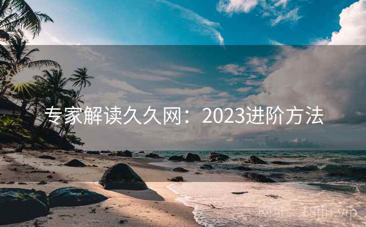 专家解读久久网:2023进阶方法 专家解读久久网:2023进阶方法