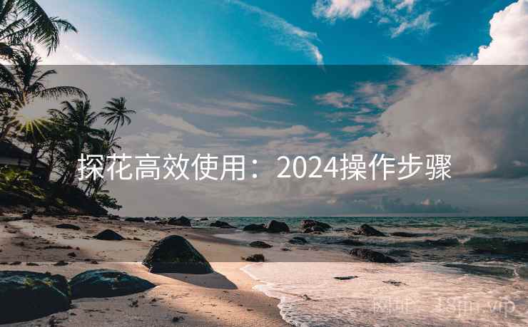 探花高效使用:2024操作步骤 探花高效使用:2024操作步骤