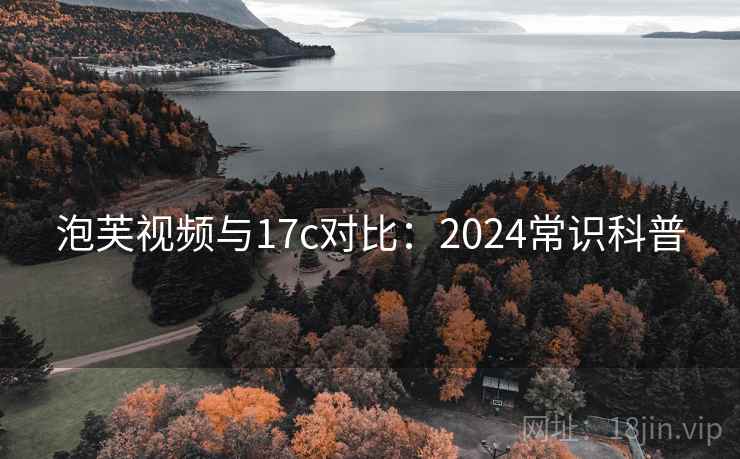 泡芙视频与17c对比：2024常识科普