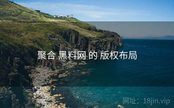聚合 黑料网 的 版权布局