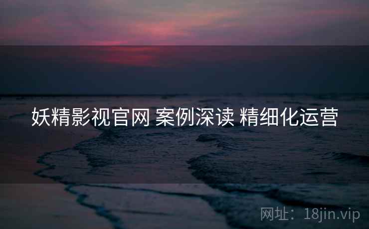 妖精影视官网 案例深读 精细化运营 妖精影视官网 案例深读 精细化运营