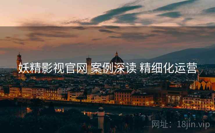 妖精影视官网 案例深读 精细化运营 妖精影视官网 案例深读 精细化运营