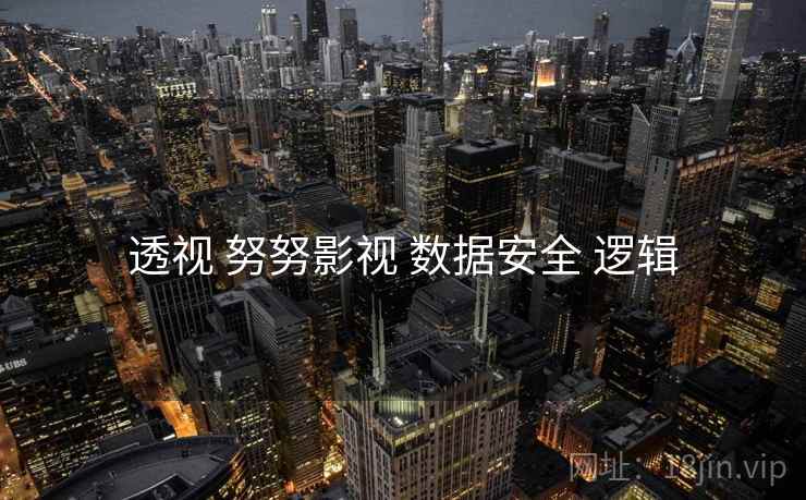 透视 努努影视 数据安全 逻辑 透视 努努影视 数据安全 逻辑