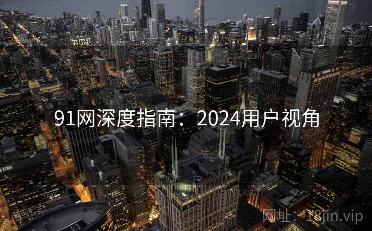 91网深度指南:2024用户视角 91网深度指南:2024用户视角