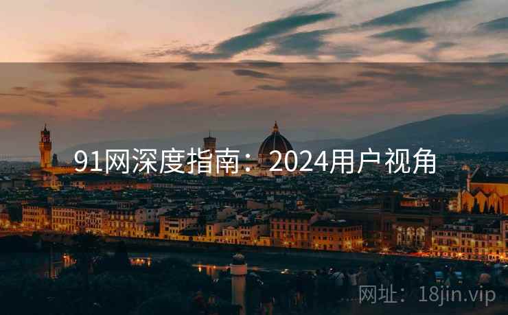91网深度指南：2024用户视角