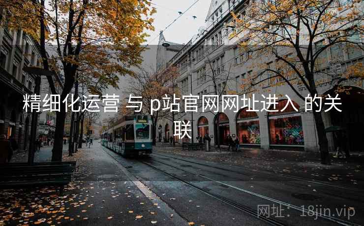 精细化运营 与 p站官网网址进入 的关联