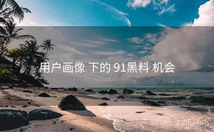 用户画像 下的 91黑料 机会