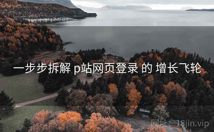一步步拆解 p站网页登录 的 增长飞轮