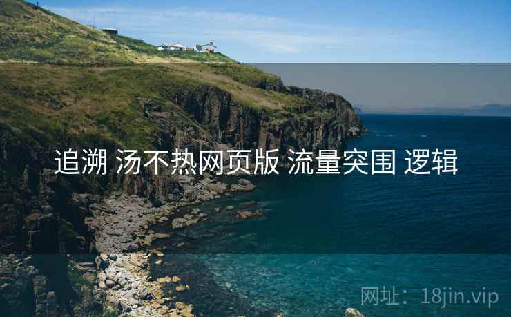 追溯 汤不热网页版 流量突围 逻辑