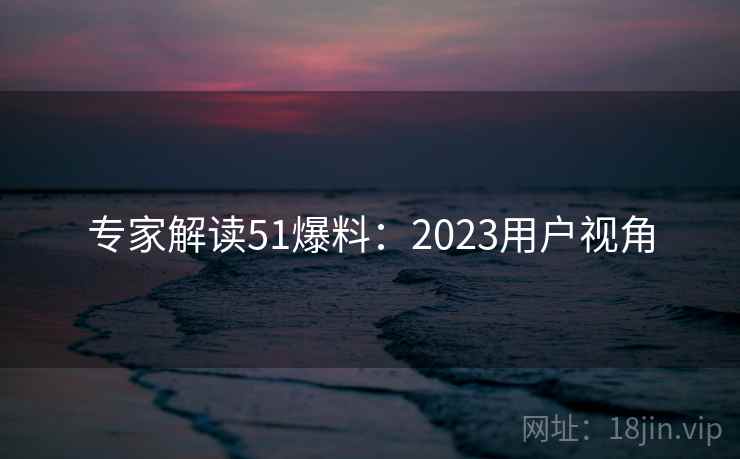专家解读51爆料：2023用户视角