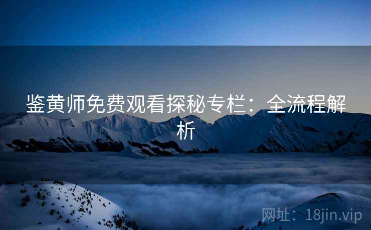 鉴黄师免费观看探秘专栏：全流程解析
